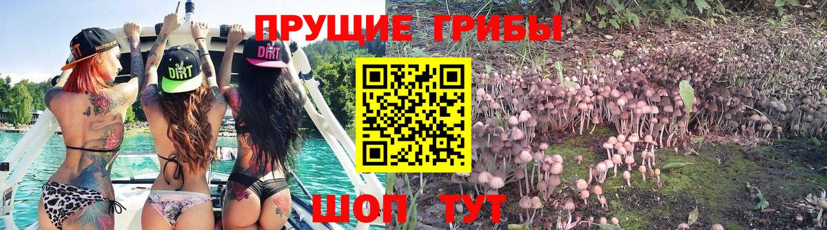 Магнитогорск  Галлюциногенные грибы мицелий  Вход с VPN 